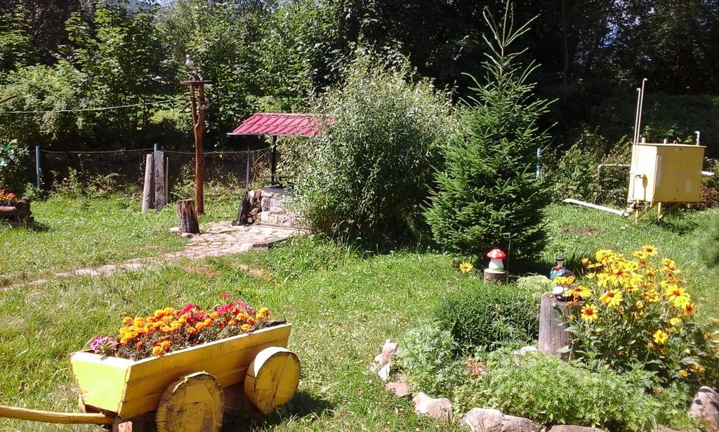 U Pana Ivana Iaremcea Exterior foto